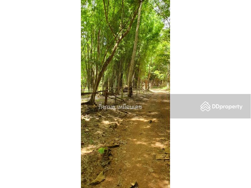 ขาย - 57000, เชียงราย