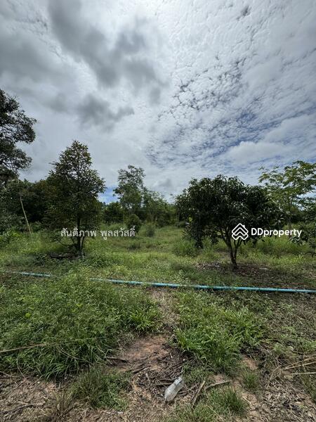 For Sale - Land Chakphong, Klaeng, Rayong