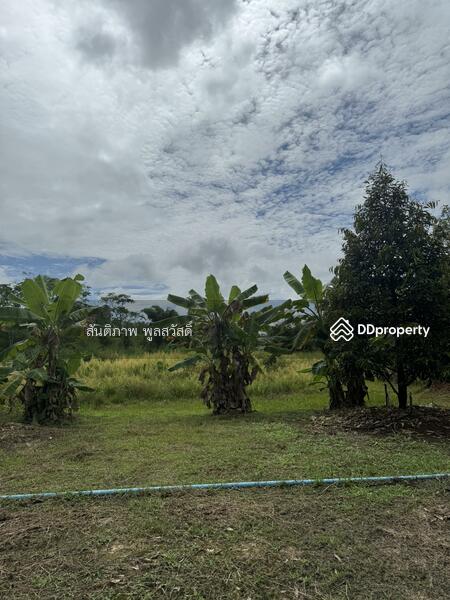 For Sale - Land Chakphong, Klaeng, Rayong