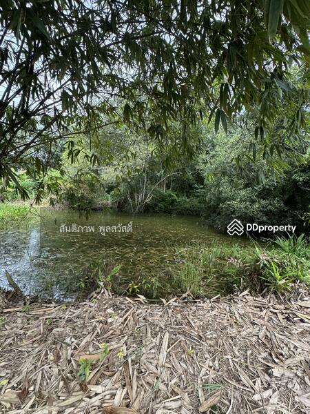 For Sale - Land Chakphong, Klaeng, Rayong