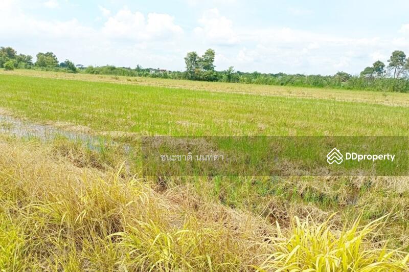 ขาย - ที่ดินเปล่า เนื้อที่ 20-3-61 ไร่ ใกล้องค์การบริหารส่วนตำบลคลองหก ต.คลองหก อ.คลองหลวง จ.ปทุมธานี, ปทุมธานี