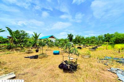 ขาย - BO-984883 ที่ดินหนองเสือ 60 ตร.ว. ปทุมธานี ใกล้โรงเรียนสารสาสน์วิเทศปทุมธานี, ปทุมธานี