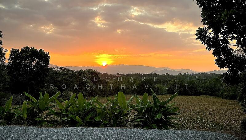 ขายที่ดินสวย 25.5 ไร่ เขาใหญ่ ใกล้ทอสคาน่า, นครราชสีมา, โป่งตาลอง, ปากช่อง, นครราชสีมา, 40,020 ตร.ม., ที่ดิน ขาย, โดย Suchart Roachthavilit, 60179830 - DDproperty.com