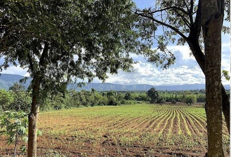 ขายที่ดินสวย 25.5 ไร่ เขาใหญ่ ใกล้ทอสคาน่า, นครราชสีมา, โป่งตาลอง, ปากช่อง, นครราชสีมา, 40,020 ตร.ม., ที่ดิน ขาย, โดย Suchart Roachthavilit, 60179830 - DDproperty.com