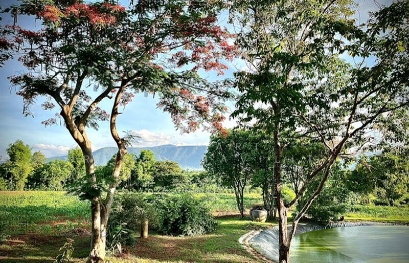 ขายที่ดินสวย 25.5 ไร่ เขาใหญ่ ใกล้ทอสคาน่า, นครราชสีมา, โป่งตาลอง, ปากช่อง, นครราชสีมา, 40,020 ตร.ม., ที่ดิน ขาย, โดย Suchart Roachthavilit, 60179830 - DDproperty.com