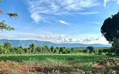 ขาย - ขายที่ดินสวย 25.5 ไร่ เขาใหญ่ ใกล้ทอสคาน่า, นครราชสีมา