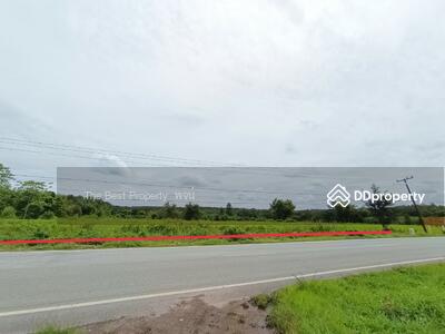 ขาย - ที่ดินพรเจริญ บึงกาฬ, บึงกาฬ