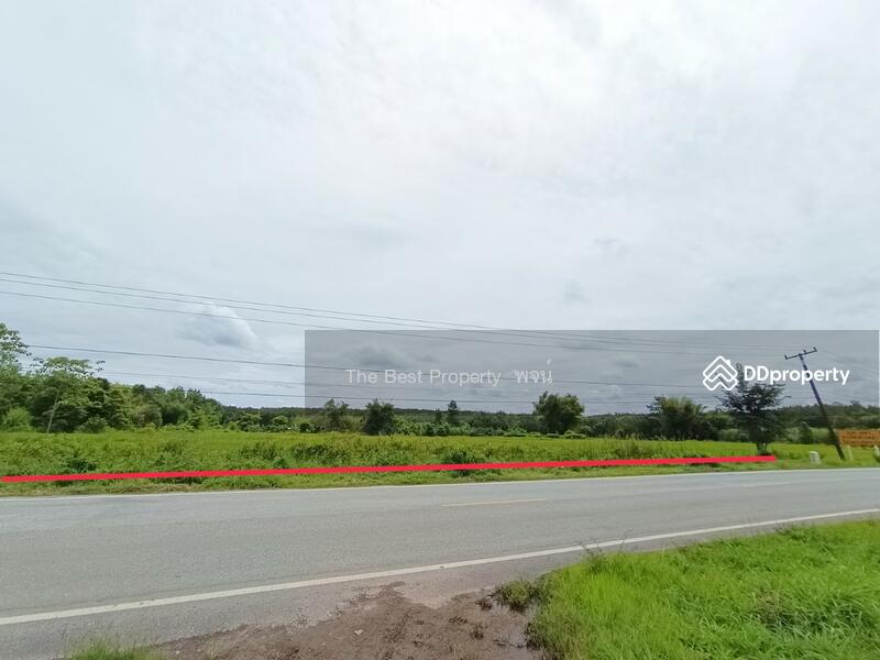 ขาย - ที่ดินพรเจริญ บึงกาฬ, บึงกาฬ