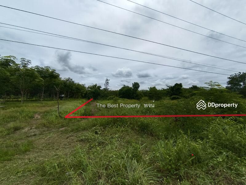 ขาย - ที่ดินพรเจริญ บึงกาฬ, บึงกาฬ