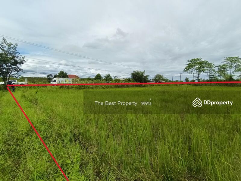 ขาย - ที่ดินพรเจริญ บึงกาฬ, บึงกาฬ