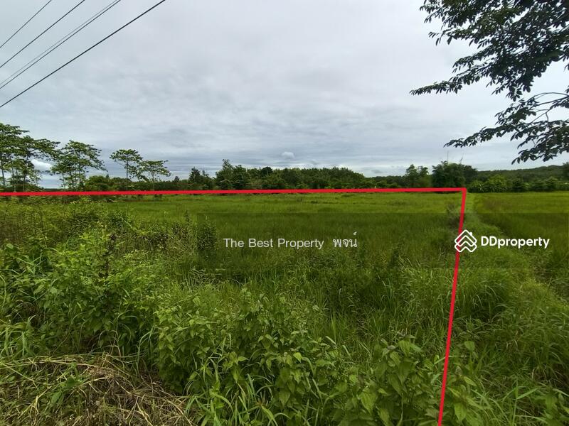 ขาย - ที่ดินพรเจริญ บึงกาฬ, บึงกาฬ