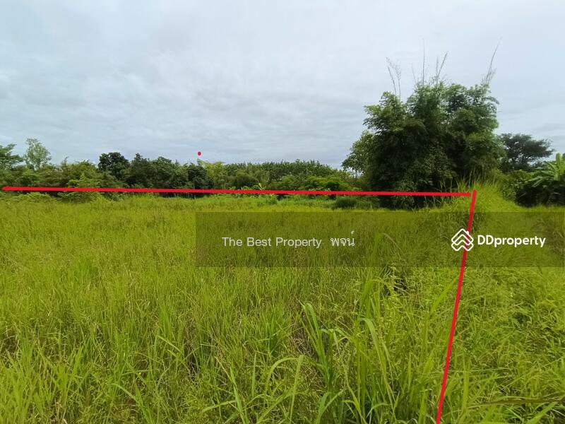 ขาย - ที่ดินพรเจริญ บึงกาฬ, บึงกาฬ
