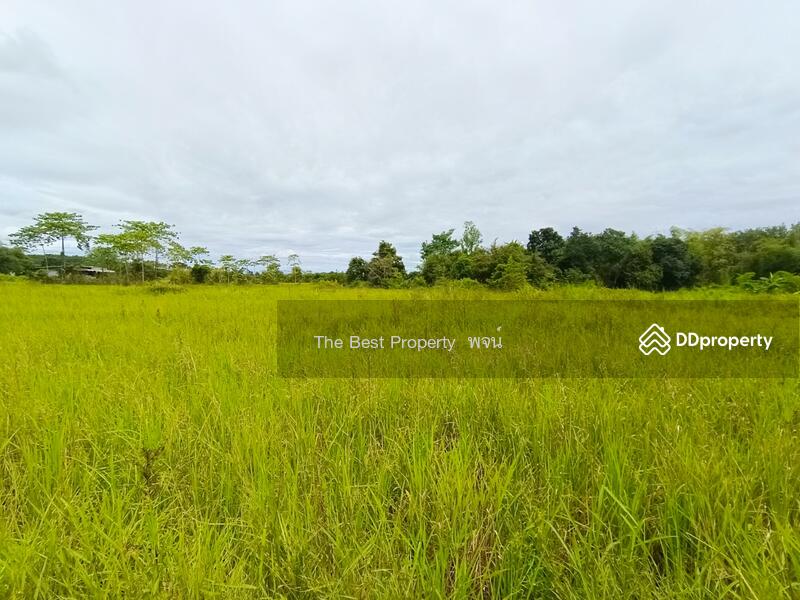 ขาย - ที่ดินพรเจริญ บึงกาฬ, บึงกาฬ
