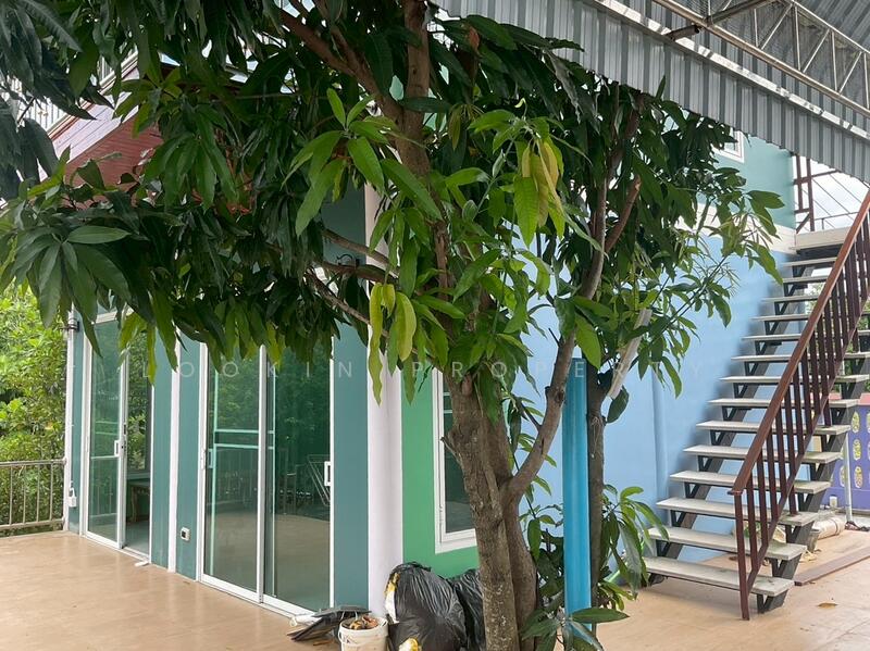 บ้านสวนสไตล์รีสอร์ตแนวพูลวิลล่า ความสุขครบจบในบ้านเดียว เพียง 10 ล้าน, สมุทรสาคร, คลองตัน, บ้านแพ้ว, สมุทรสาคร, 375 ตร.ม., บ้านเดี่ยว ขาย, โดย Lookin property, 60179924 - DDproperty.com