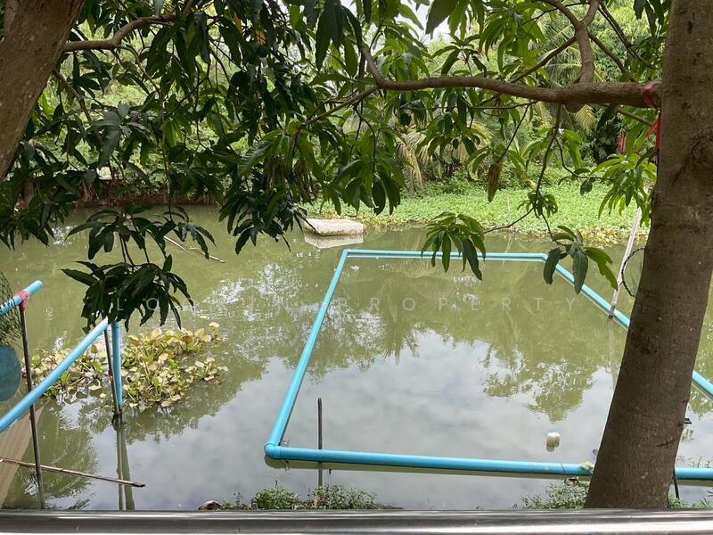 บ้านสวนสไตล์รีสอร์ตแนวพูลวิลล่า ความสุขครบจบในบ้านเดียว เพียง 10 ล้าน, Samut Sakhon, Khlong Ton, Ban Phaeo, Samut Sakhon, 6 Bedrooms, 375 sqm, Single Detached House For Sale, by Lookin property, 60179924 - DDproperty.com