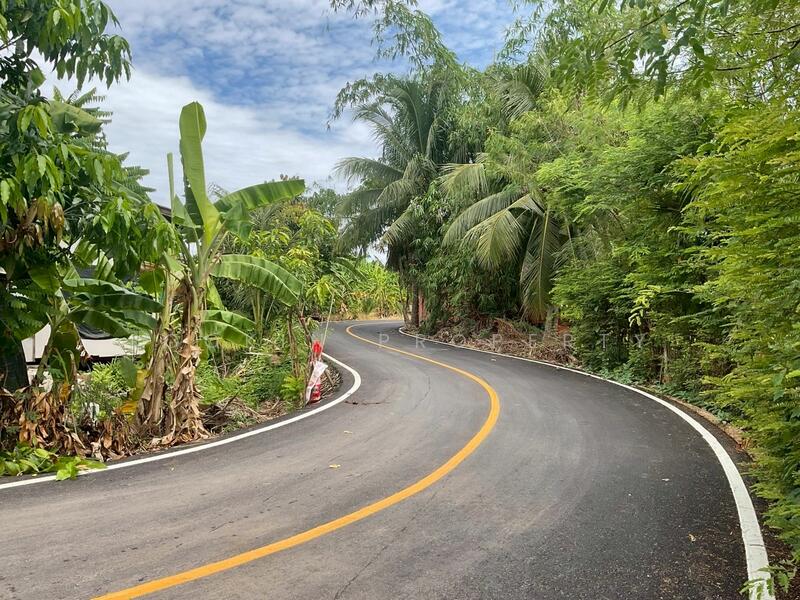 บ้านสวนสไตล์รีสอร์ตแนวพูลวิลล่า ความสุขครบจบในบ้านเดียว เพียง 10 ล้าน, สมุทรสาคร, คลองตัน, บ้านแพ้ว, สมุทรสาคร, 375 ตร.ม., บ้านเดี่ยว ขาย, โดย Lookin property, 60179924 - DDproperty.com