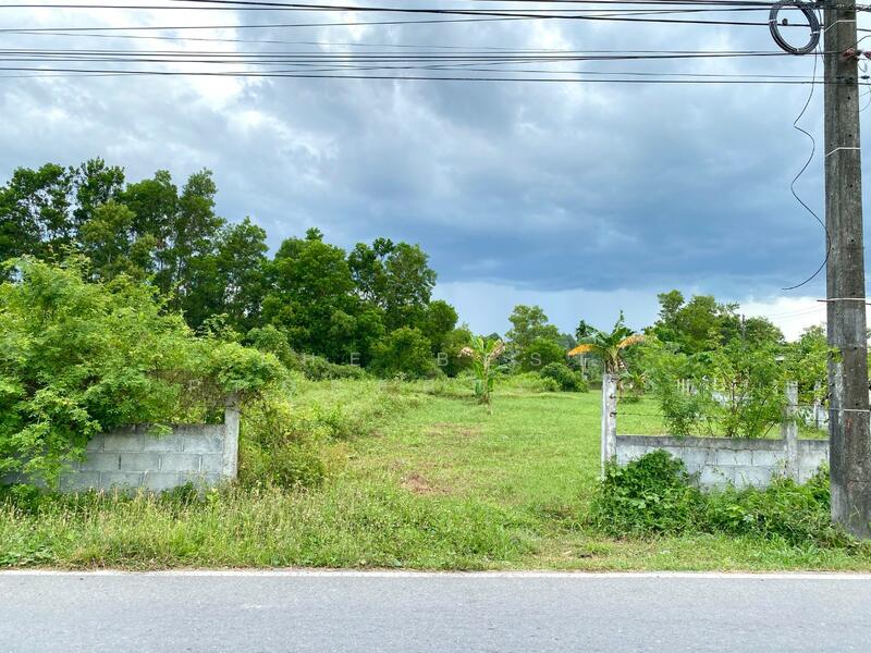 ขาย - ที่ดินชะอวด นครศรีธรรมราช, นครศรีธรรมราช