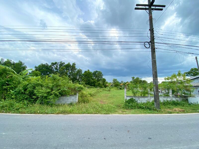 ขาย - ที่ดินชะอวด นครศรีธรรมราช, นครศรีธรรมราช