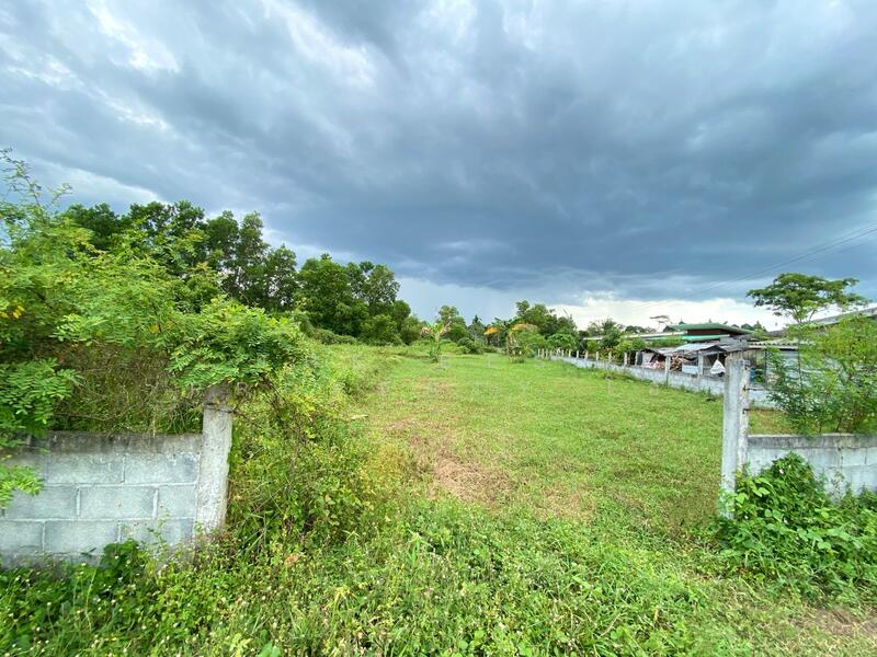 ขาย - ที่ดินชะอวด นครศรีธรรมราช, นครศรีธรรมราช