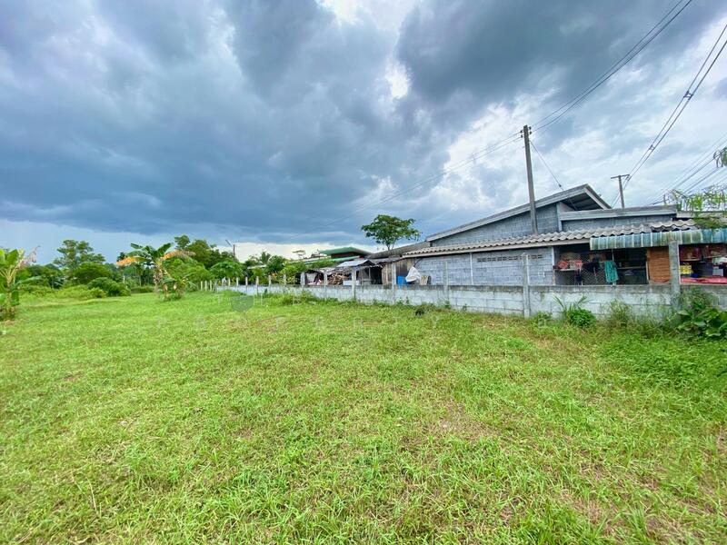 ขาย - ที่ดินชะอวด นครศรีธรรมราช, นครศรีธรรมราช