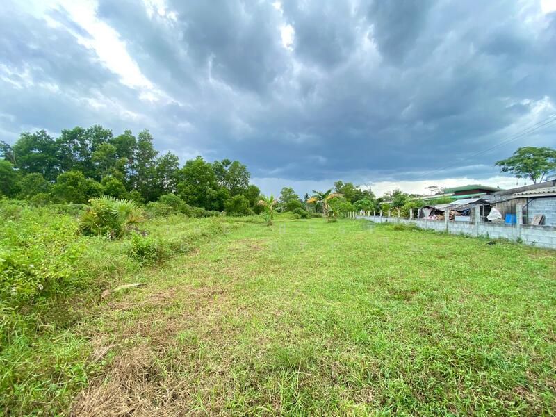 ขาย - ที่ดินชะอวด นครศรีธรรมราช, นครศรีธรรมราช