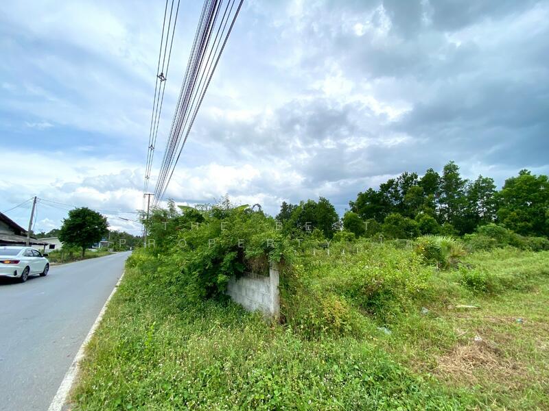 ขาย - ที่ดินชะอวด นครศรีธรรมราช, นครศรีธรรมราช