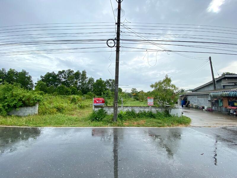 ขาย - ที่ดินชะอวด นครศรีธรรมราช, นครศรีธรรมราช