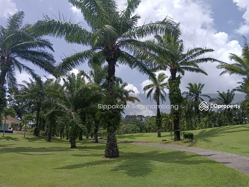 For Sale - Land for Sale in Loch Palm Golf Club Kathu Phuket, Phuket