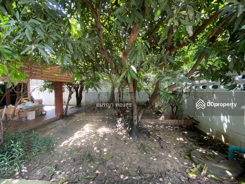 For Sale - ไม่มี, Bangkok