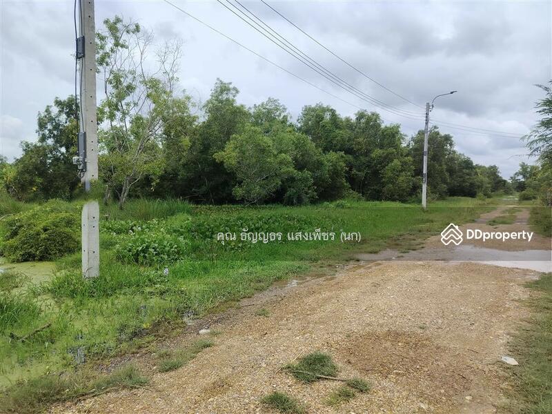 ขาย - ที่ดินเปล่า 400 ตร.ว. ที่ดิน ใกล้ซอยประชาสำราญ2 ถนนลำลูกกา ถนนคลองสิบสอง เขตหนองจอก กรุงเทพมหานคร, กรุงเทพ