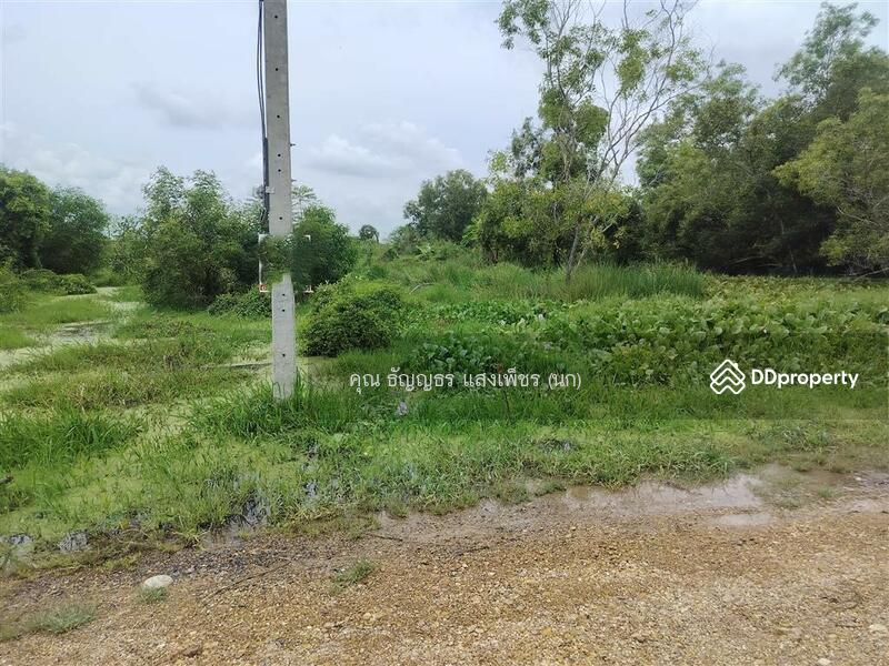 ขาย - ที่ดินเปล่า 400 ตร.ว. ที่ดิน ใกล้ซอยประชาสำราญ2 ถนนลำลูกกา ถนนคลองสิบสอง เขตหนองจอก กรุงเทพมหานคร, กรุงเทพ
