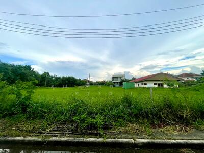 ขาย - Panya Lake Home : ปัญญาเลคโฮม, กรุงเทพ