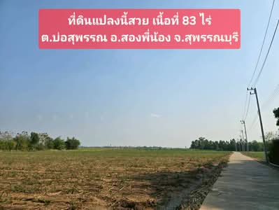 ขาย - ขายที่ดินเปล่า 83 ไร่ อ.สองพี่น้อง จ.สุพรรณบุรี, สุพรรณบุรี