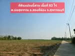 ขายที่ดินเปล่า 83 ไร่ อ.สองพี่น้อง จ.สุพรรณบุรี, สุพรรณบุรี