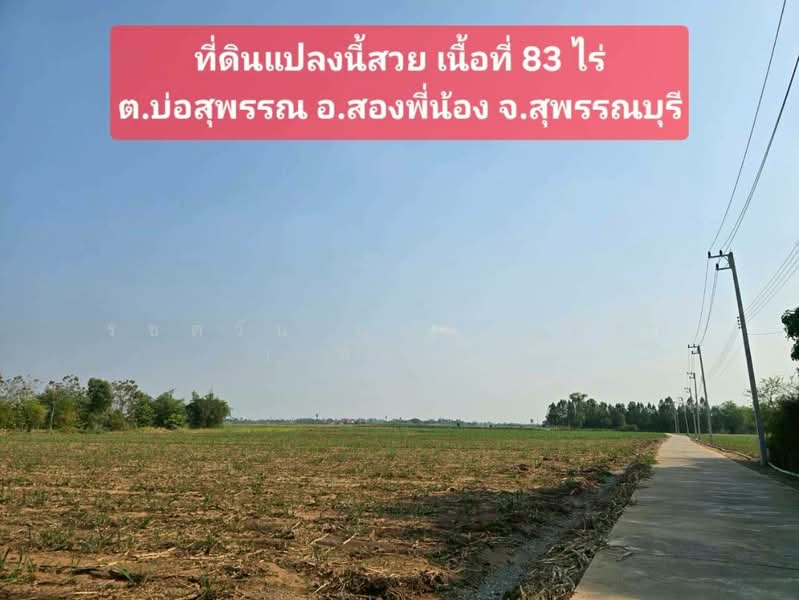ขายที่ดินเปล่า 83 ไร่ อ.สองพี่น้อง จ.สุพรรณบุรี, สุพรรณบุรี, บ่อสุพรรณ, สองพี่น้อง, สุพรรณบุรี, 132,800 ตร.ม., ที่ดิน ขาย, โดย รชตวัน บุญประสิทธิ์ ( อ้อย ), 60181425 - DDproperty.com