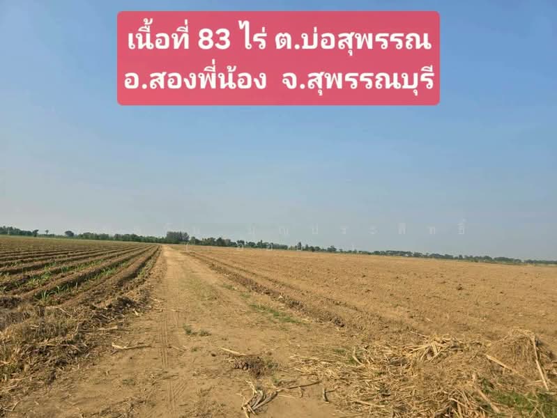 ขายที่ดินเปล่า 83 ไร่ อ.สองพี่น้อง จ.สุพรรณบุรี, Suphan Buri, Bo Suphan, Song Phi Nong, Suphan Buri, , 132,800 sqm, Land For Sale, by รชตวัน บุญประสิทธิ์ ( อ้อย ), 60181425 - DDproperty.com