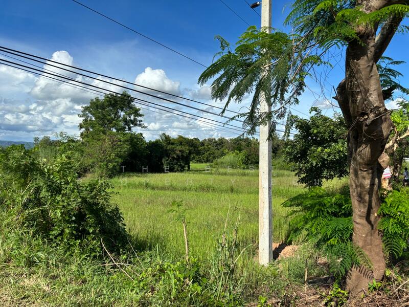 ขาย - ที่ดินนครไทย พิษณุโลก, พิษณุโลก