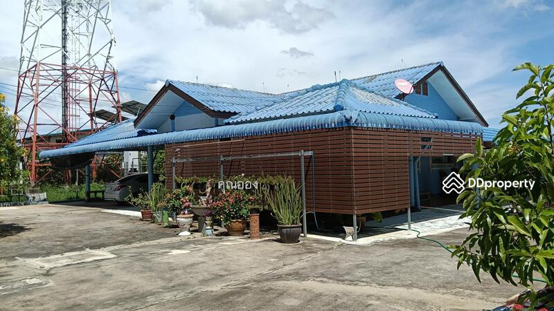 ขาย - ขาย บ้านเดี่ยว พื้นที่ 264.7 ตร.ว. ทำเลดี ใกล้ ถนน ลาดหลุมแก้ว ถนน ปทุมธานี - บางเลน, ปทุมธานี