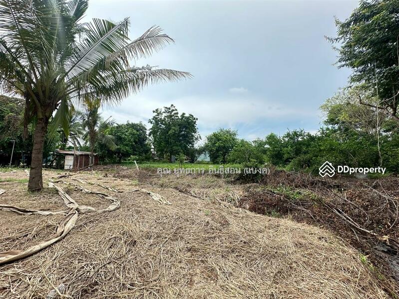 ขาย - บ้านเดี่ยว 2 ชั้น 212 ตร.ว. ใกล้วัดหนองแม่พังงา ถนนทางหลวงแผ่นดินหมายเลข 3475 (สายทับกฤช - พนมรอก), นครสวรรค์