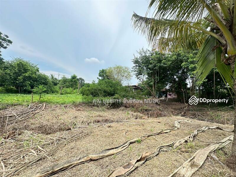 ขาย - บ้านเดี่ยว 2 ชั้น 212 ตร.ว. ใกล้วัดหนองแม่พังงา ถนนทางหลวงแผ่นดินหมายเลข 3475 (สายทับกฤช - พนมรอก), นครสวรรค์