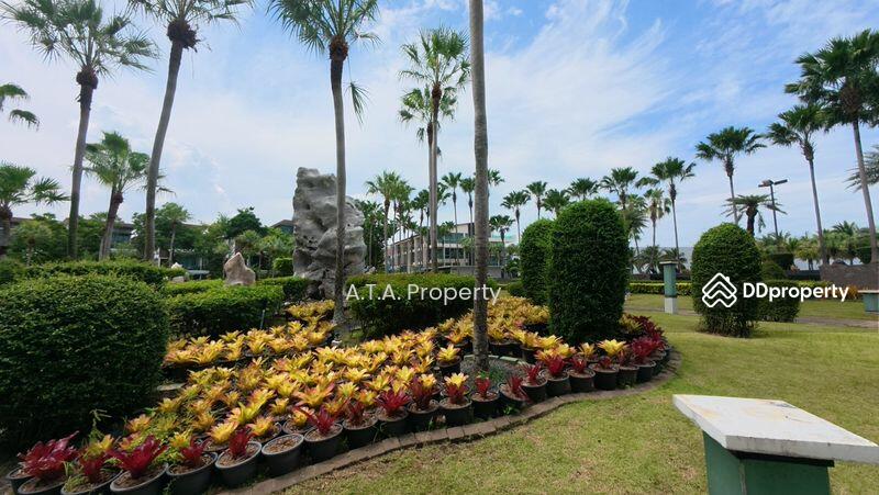 ให้เช่า - Casalunar Paradiso : คาซาลูน่า พาราดิโซ, ชลบุรี