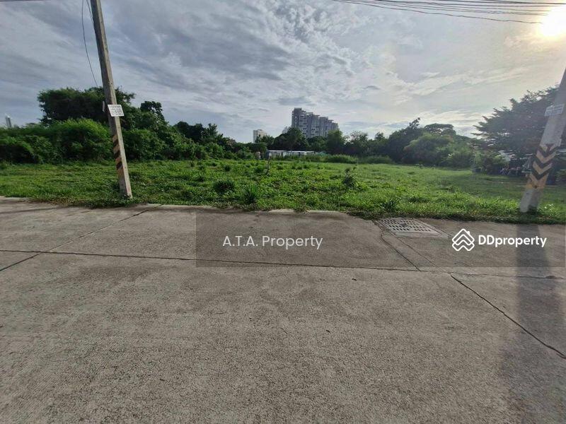 ขาย - ที่ดินเปล่า ถนนชัยพฤกษ์ พัทยา จอมเทียน, ชลบุรี
