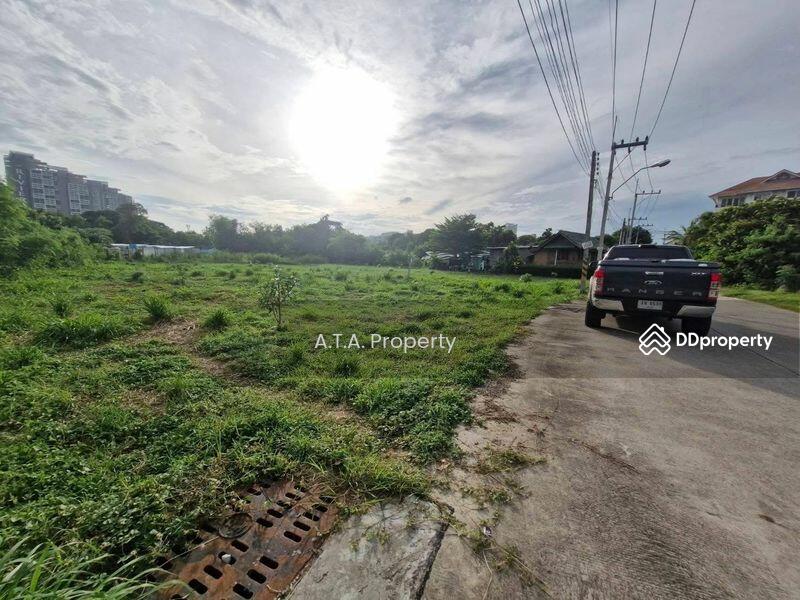 ขาย - ที่ดินเปล่า ถนนชัยพฤกษ์ พัทยา จอมเทียน, ชลบุรี