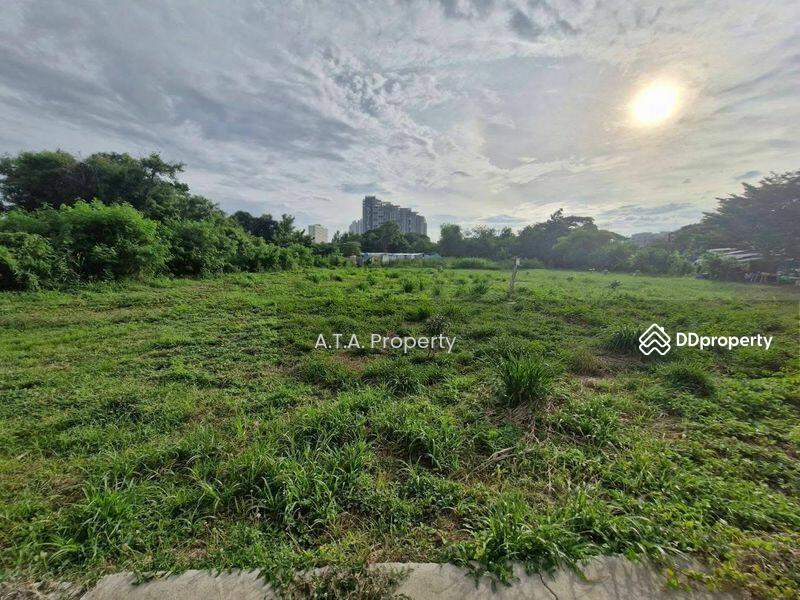 ที่ดินเปล่าพัทยา พิกัด ถนนชัยพฤกษ์ 