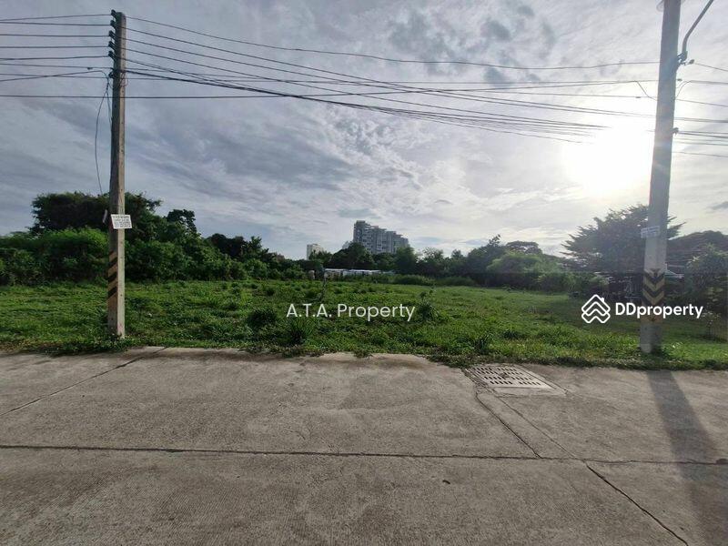 ขาย - ที่ดินเปล่า ถนนชัยพฤกษ์ พัทยา จอมเทียน, ชลบุรี