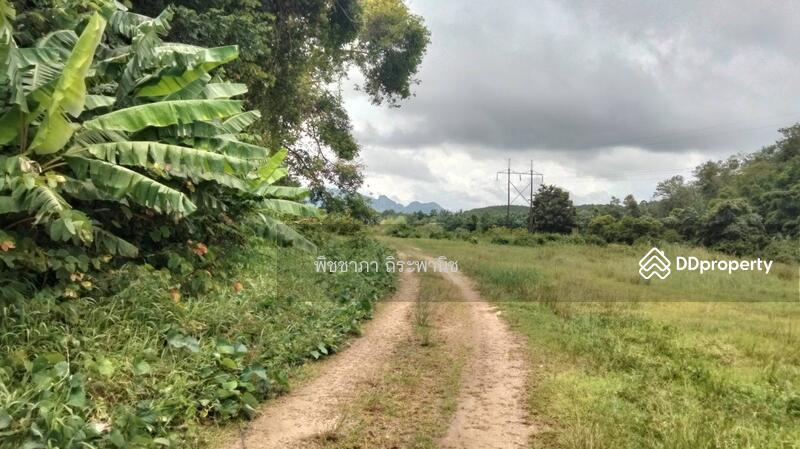 ขาย - ที่ดินเปล่า, พังงา
