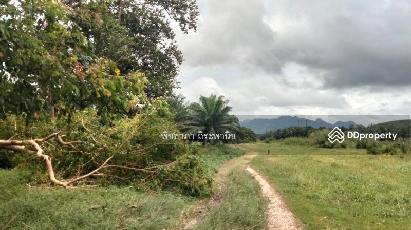 ขาย - ที่ดินเปล่า, พังงา