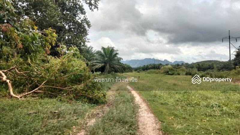 ขาย - ที่ดินเปล่า, พังงา
