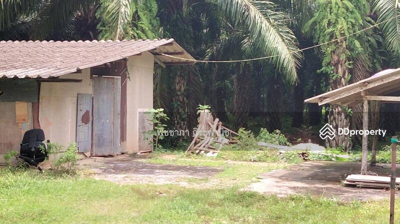 ขาย - ที่ดินเปล่า, พังงา