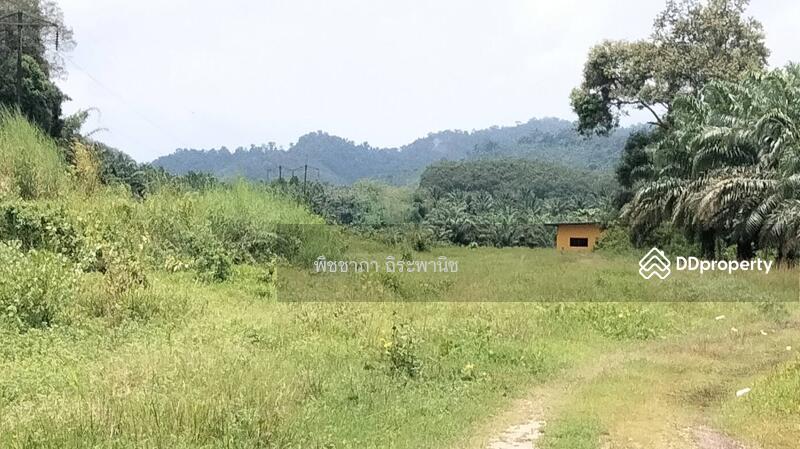 ขาย - ที่ดินเปล่า, พังงา